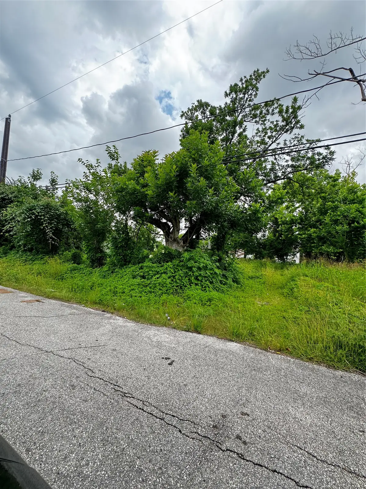 4706 Falls Street, Houston, TX 77026 - #1