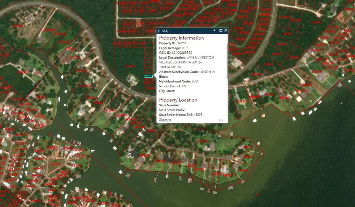 TBD Bank Side, Livingston, TX 77351 - #1