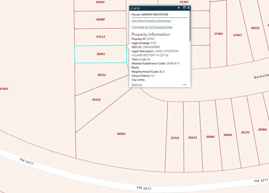 TBD Bank Side, Livingston, TX 77351 - #2
