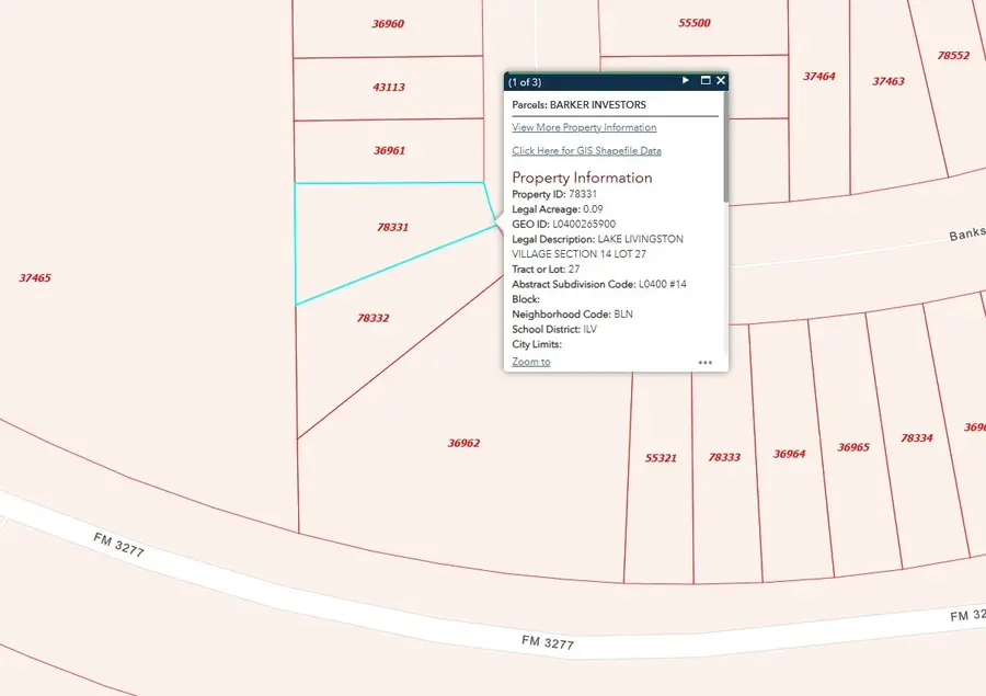 TBD Bank Side, Livingston, TX 77351 - #3