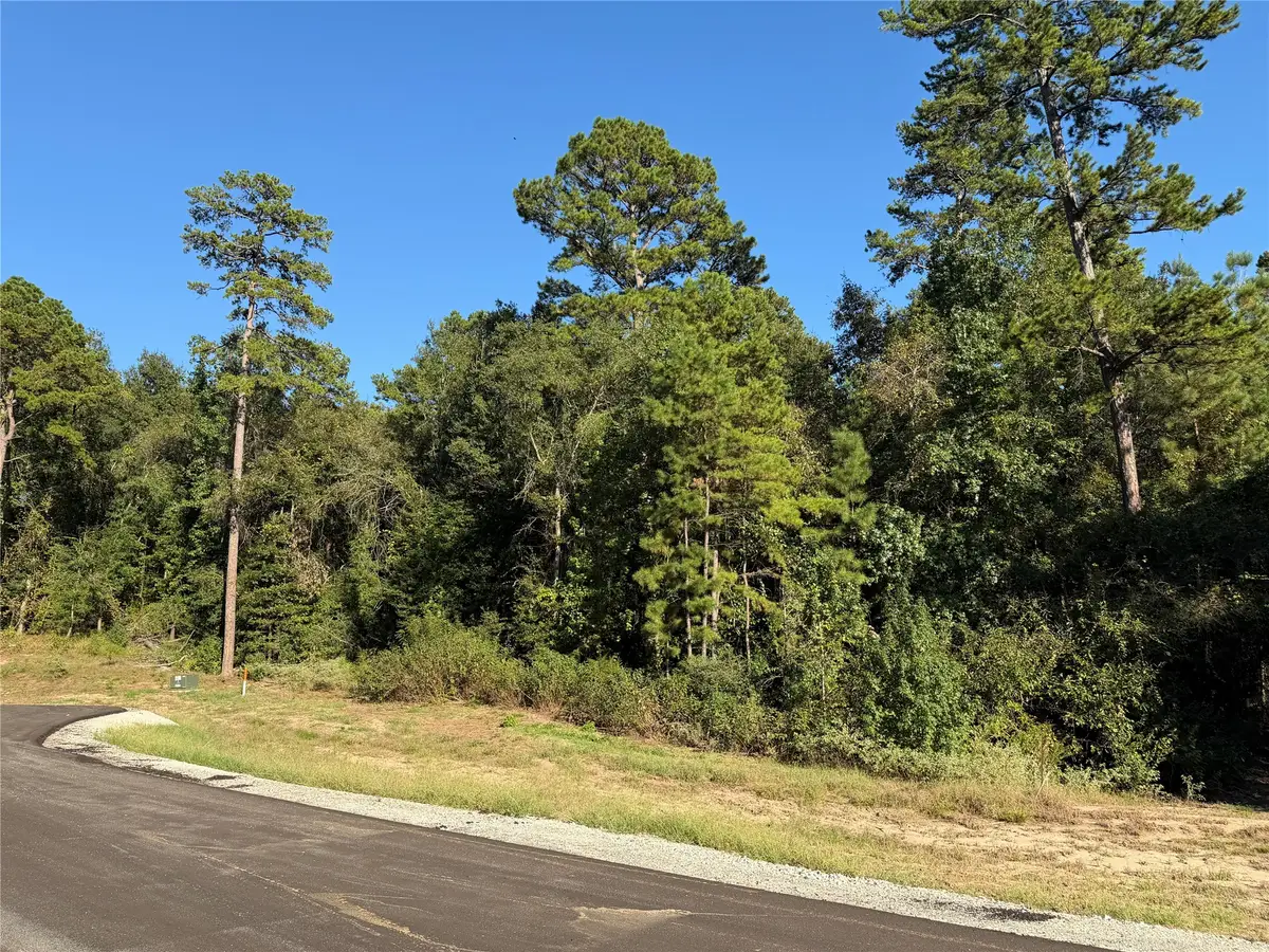 236 Hollow Hill Drive, Huntsville, TX 77358 - #1