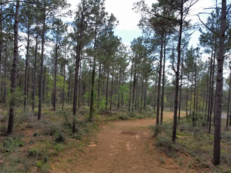 TBD Fm 138, Center, TX 75935 - #2