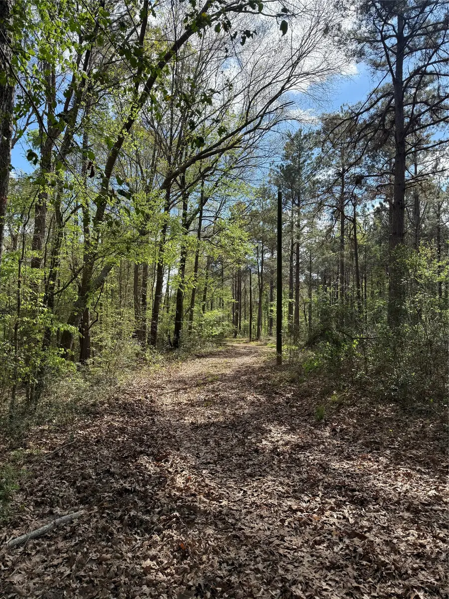 TBD Fm 138, Center, TX 75935 - #3