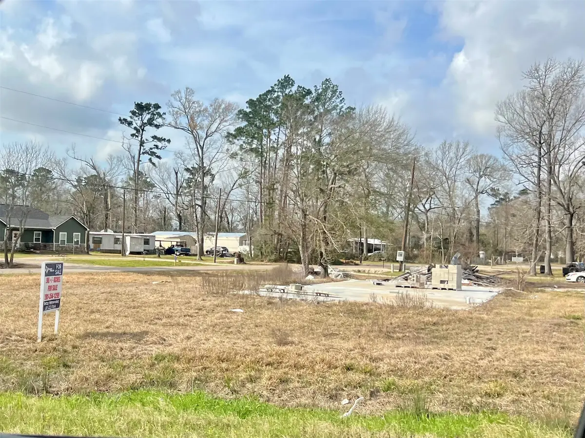 17031 Little Oak Drive, Porter, TX 77365 - #1