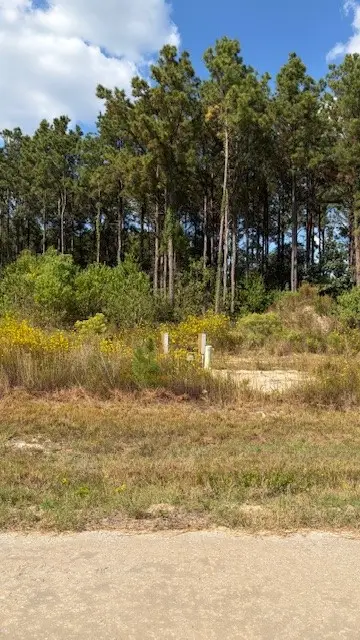 1365 Road 5890, Cleveland, TX 77327 - Image #1