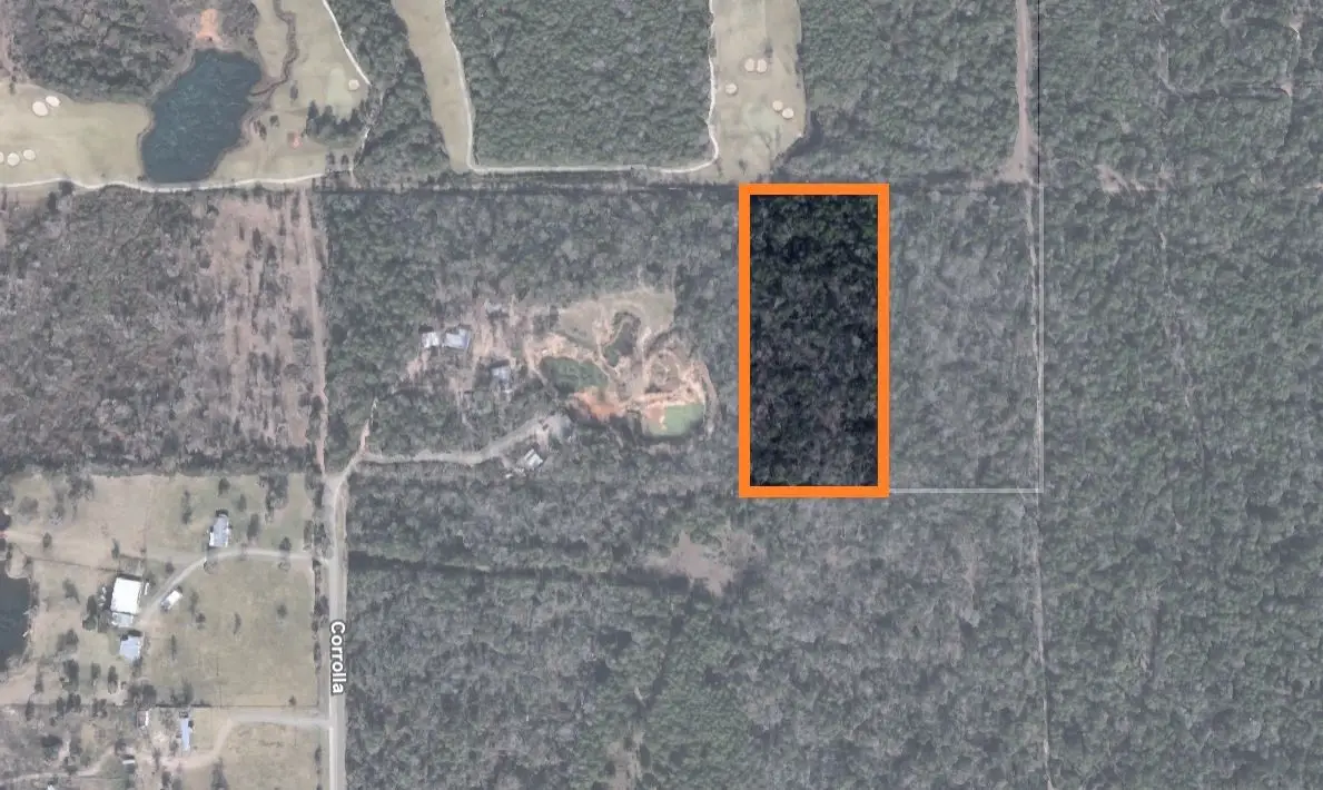 3440 Corolla Road, Magnolia, TX 77354 - #1