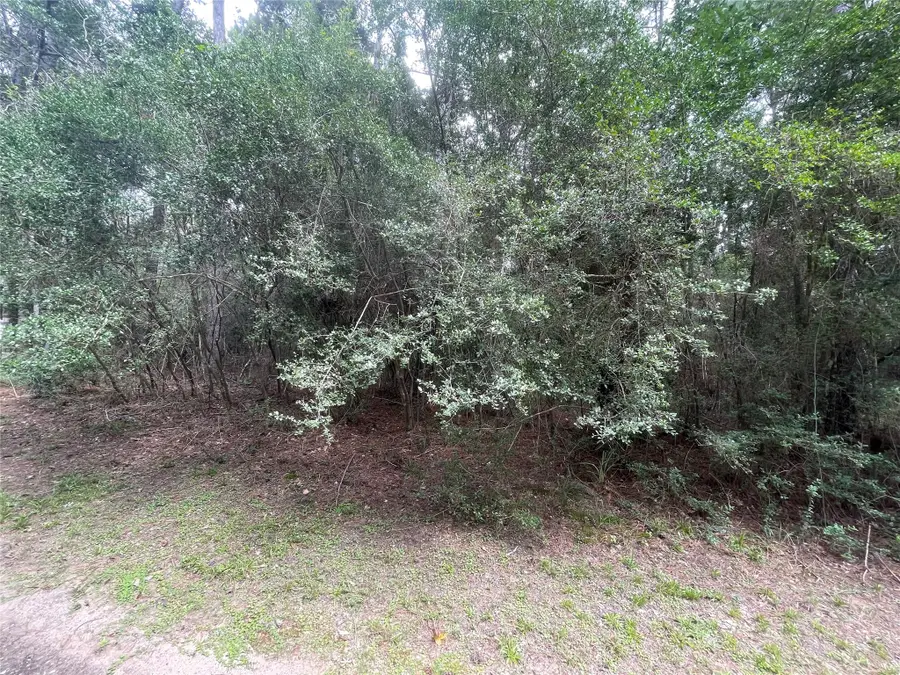 3440 Corolla Road, Magnolia, TX 77354 - #3