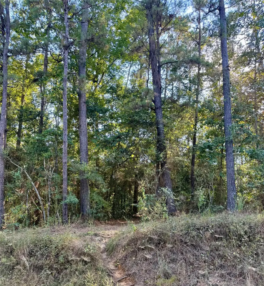 #3