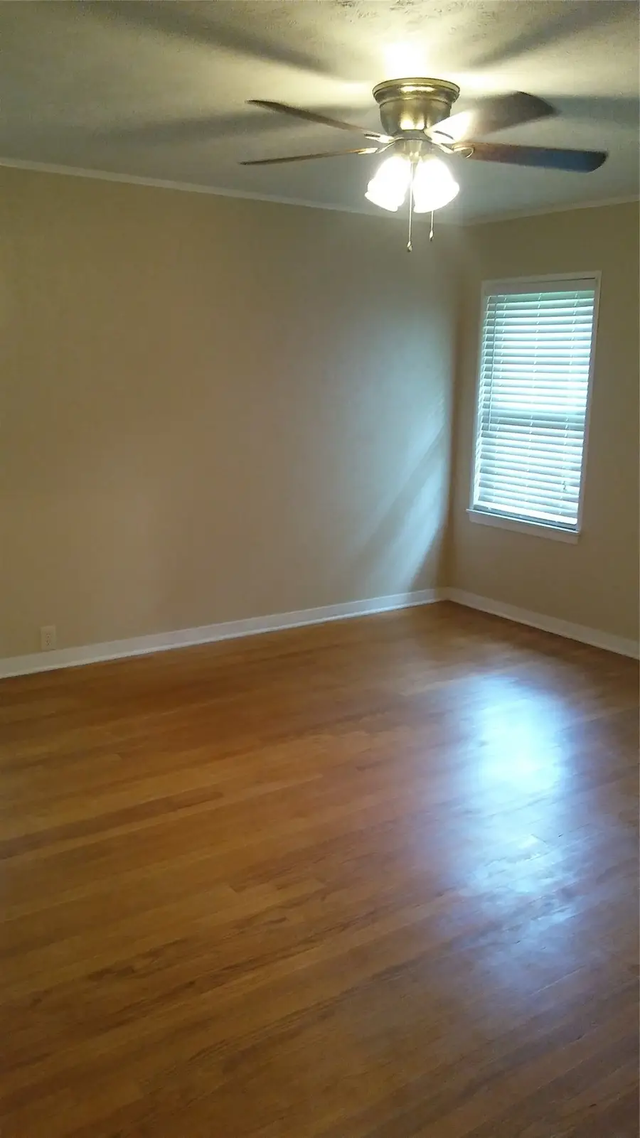 8106 Lorrie Street, Houston, TX 77025 - #3