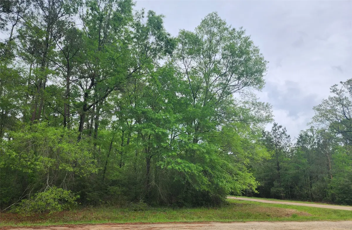 TBD Cloverdale, Livingston, TX 77351 - #1