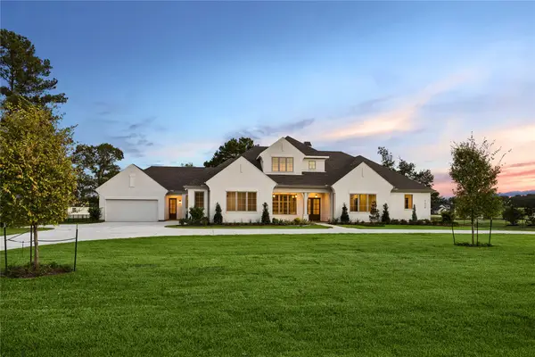 2418 Emerie Arbor Lane, Hockley, TX 77447