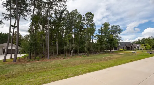 23737 Birch Grove Rd, Montgomery, TX 77316