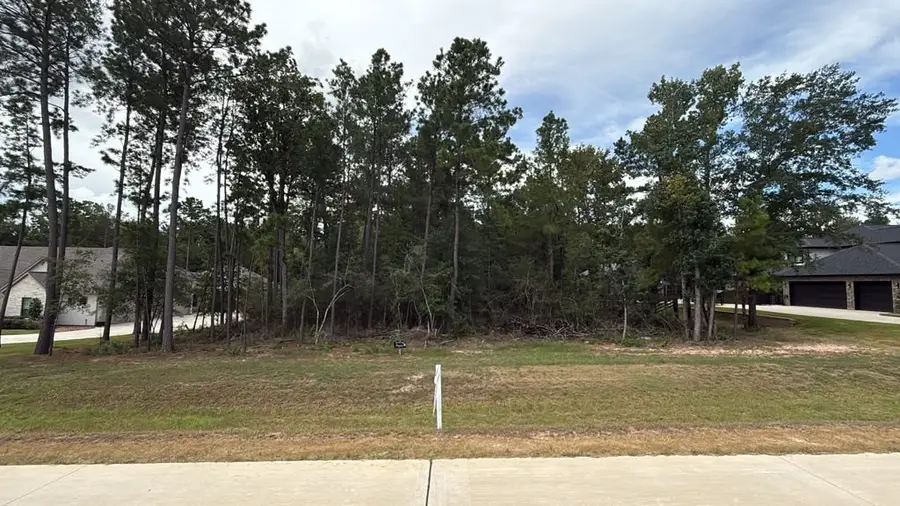 23737 Birch Grove Rd, Montgomery, TX 77316 - #3