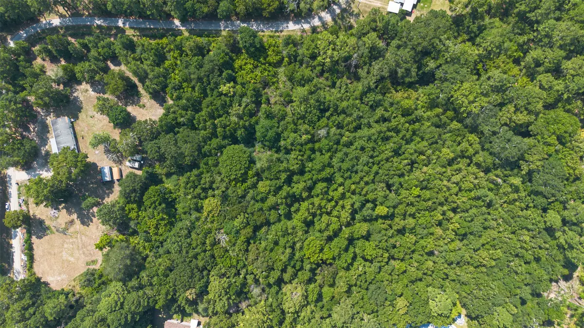 1031 Morris Creek Road, Coldspring, TX 77331 - #1