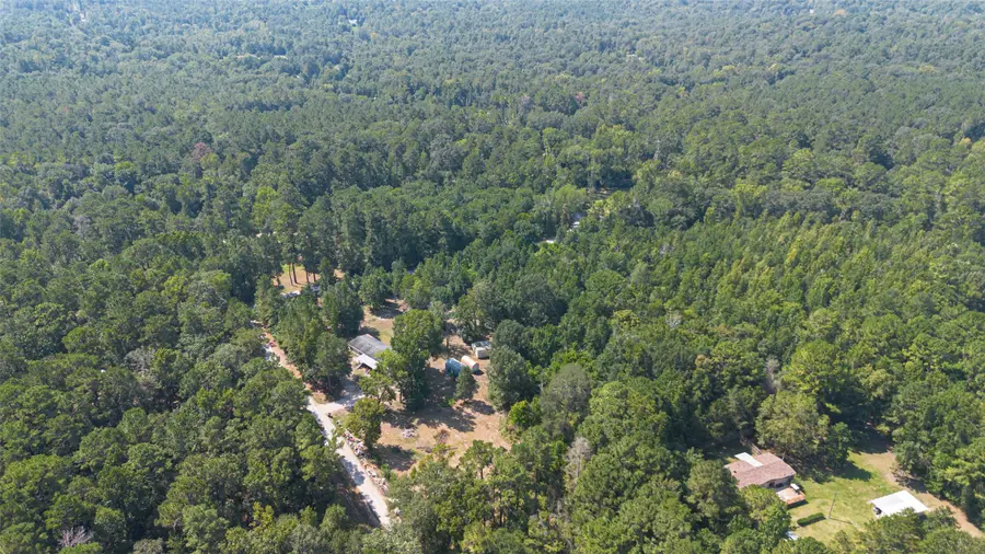 1031 Morris Creek Road, Coldspring, TX 77331 - #3