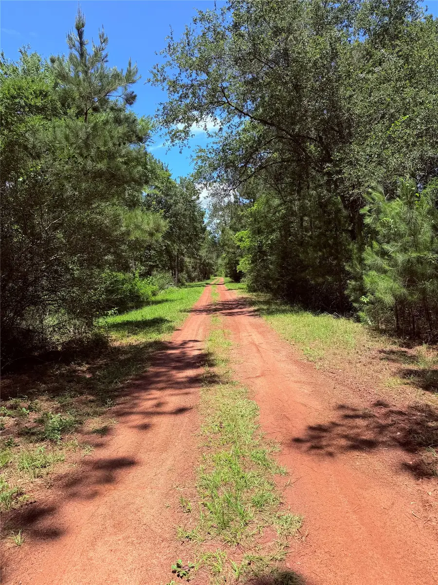 TBD LOT 7 Lakeshore Drive, Hempstead, TX 77445 - #2