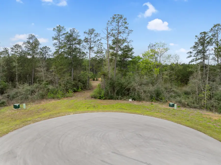 15807 Vine Veiw Court, Willis, TX 77378 - #2