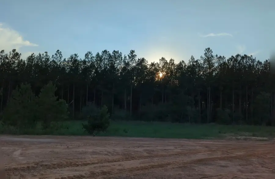 15807 Vine Veiw Court, Willis, TX 77378 - #3