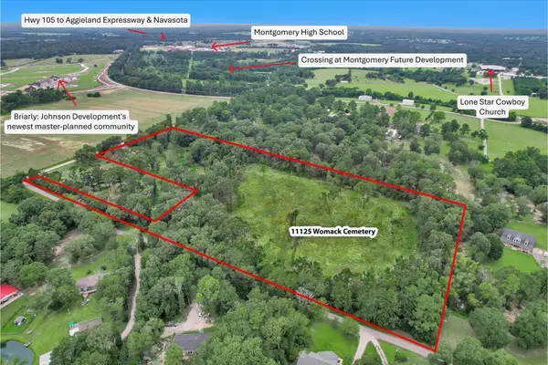 10.548 Acres Womack Cemetery Road, Montgomery, TX 77316