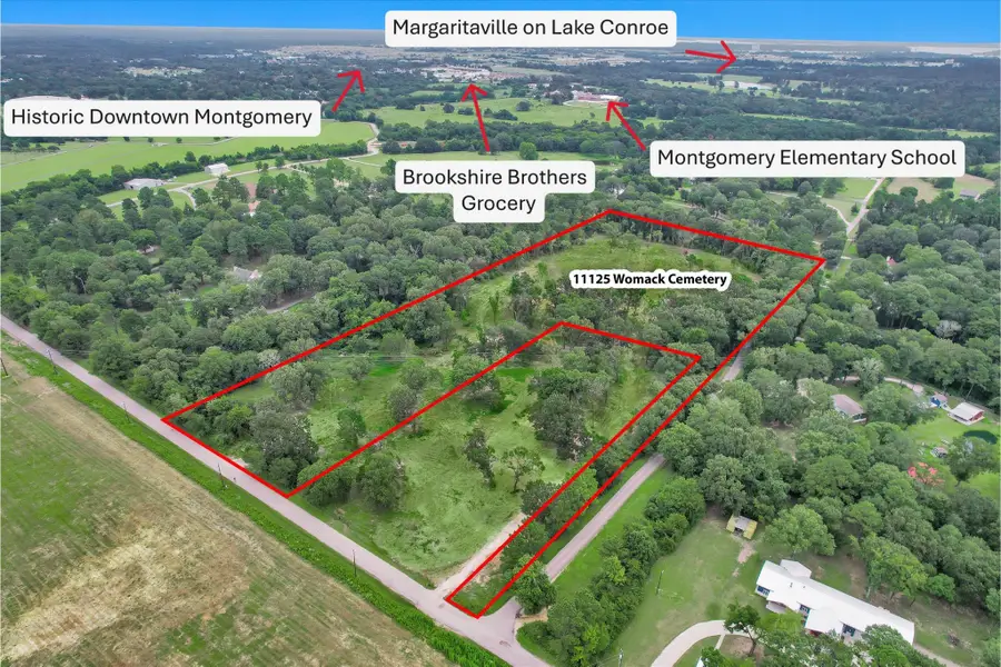 10.548 Acres Womack Cemetery Road, Montgomery, TX 77316 - #2