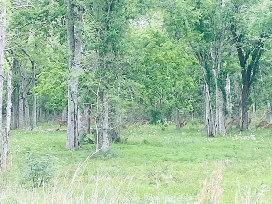 32502 Redfish Trail, Richwood, TX 77531 - #2