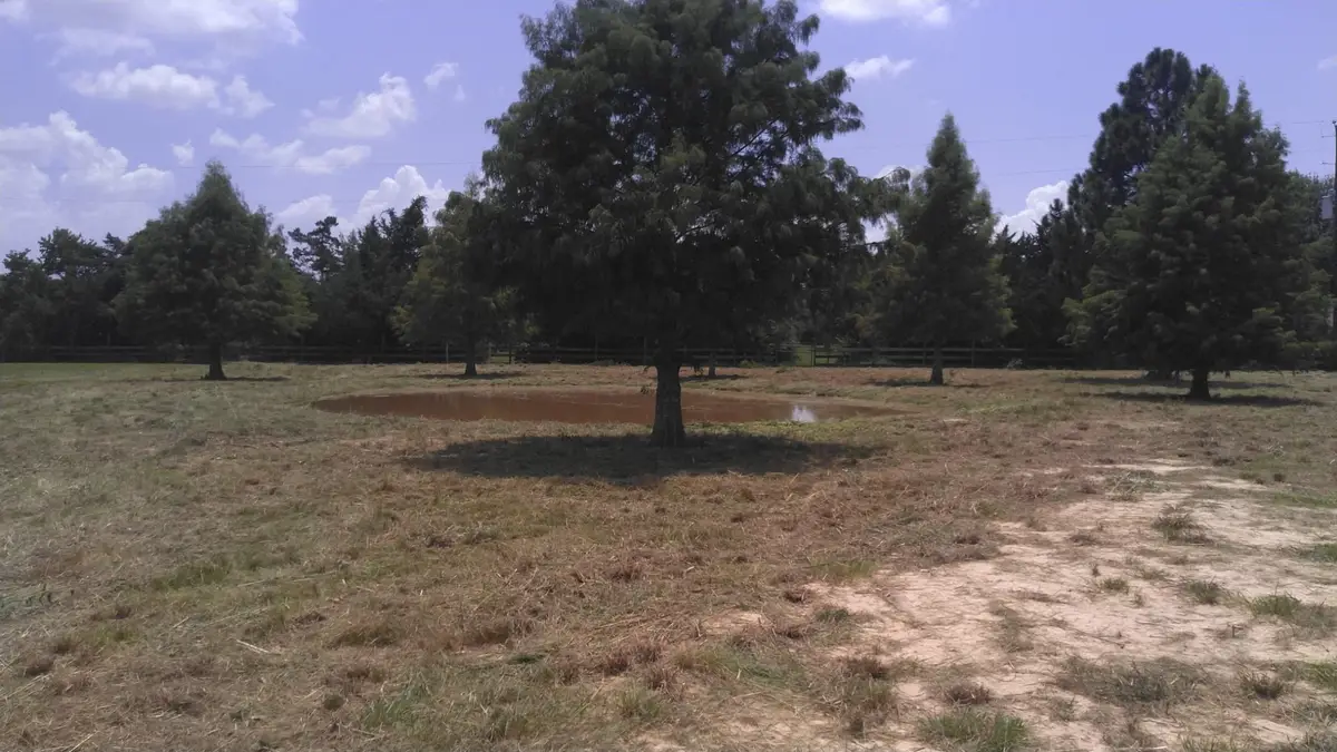32519 Gadwall Street, Brookshire, TX 77423 - #1