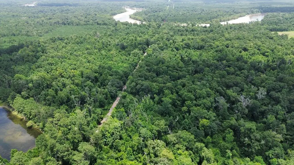 369 Cr 4240, Bon Wier, TX 75928 - #1