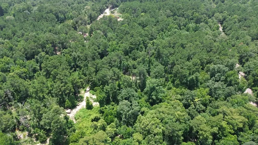 369 Cr 4240, Bon Wier, TX 75928 - #3