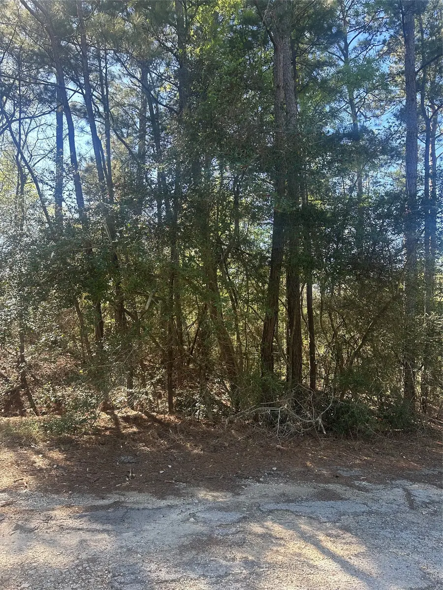 Lot 67/68 Wildwood Harbor, Onalaska, TX 77360 - #3