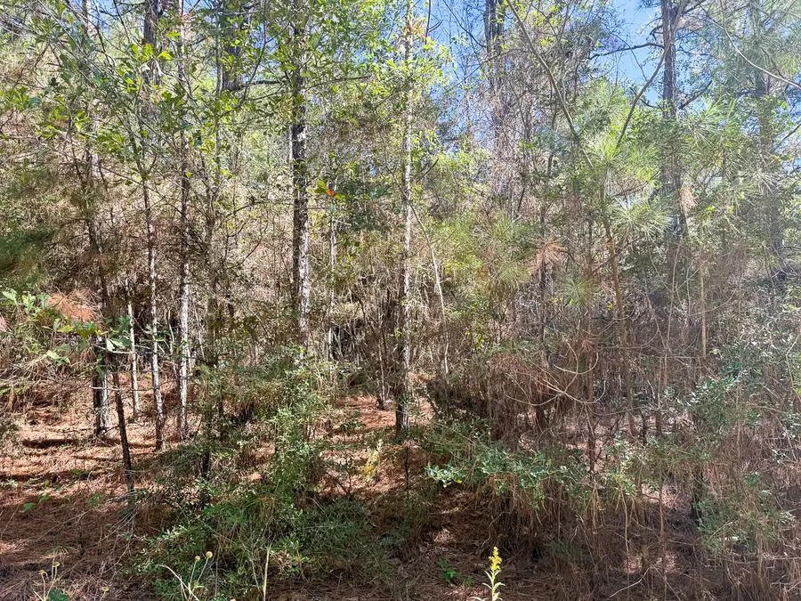 TBD Chanticlear Drive, Ivanhoe, TX 75979 - Image #2