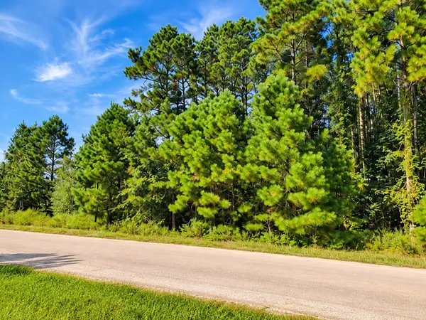 1319 County Road 3479j, Cleveland, TX 77327