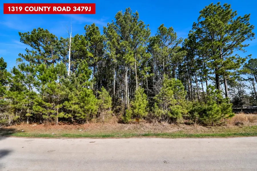 1319 County Road 3479j, Cleveland, TX 77327 - #2
