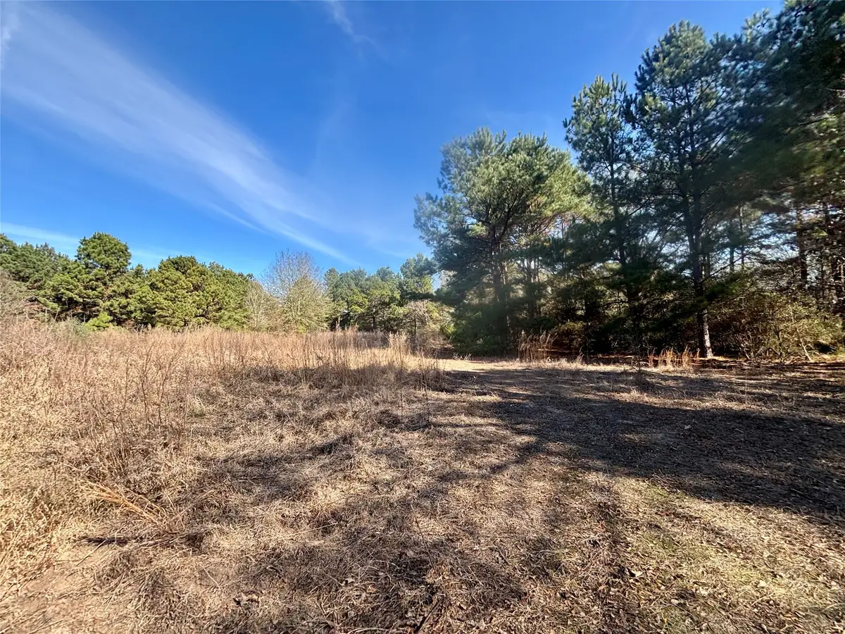 TBD Cr 300, Oakwood, TX 75855 - #1
