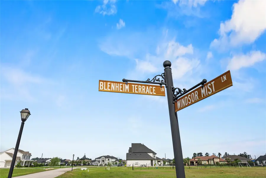 4041 Blenheim Terrace Lane, Spring, TX 77386 - #3