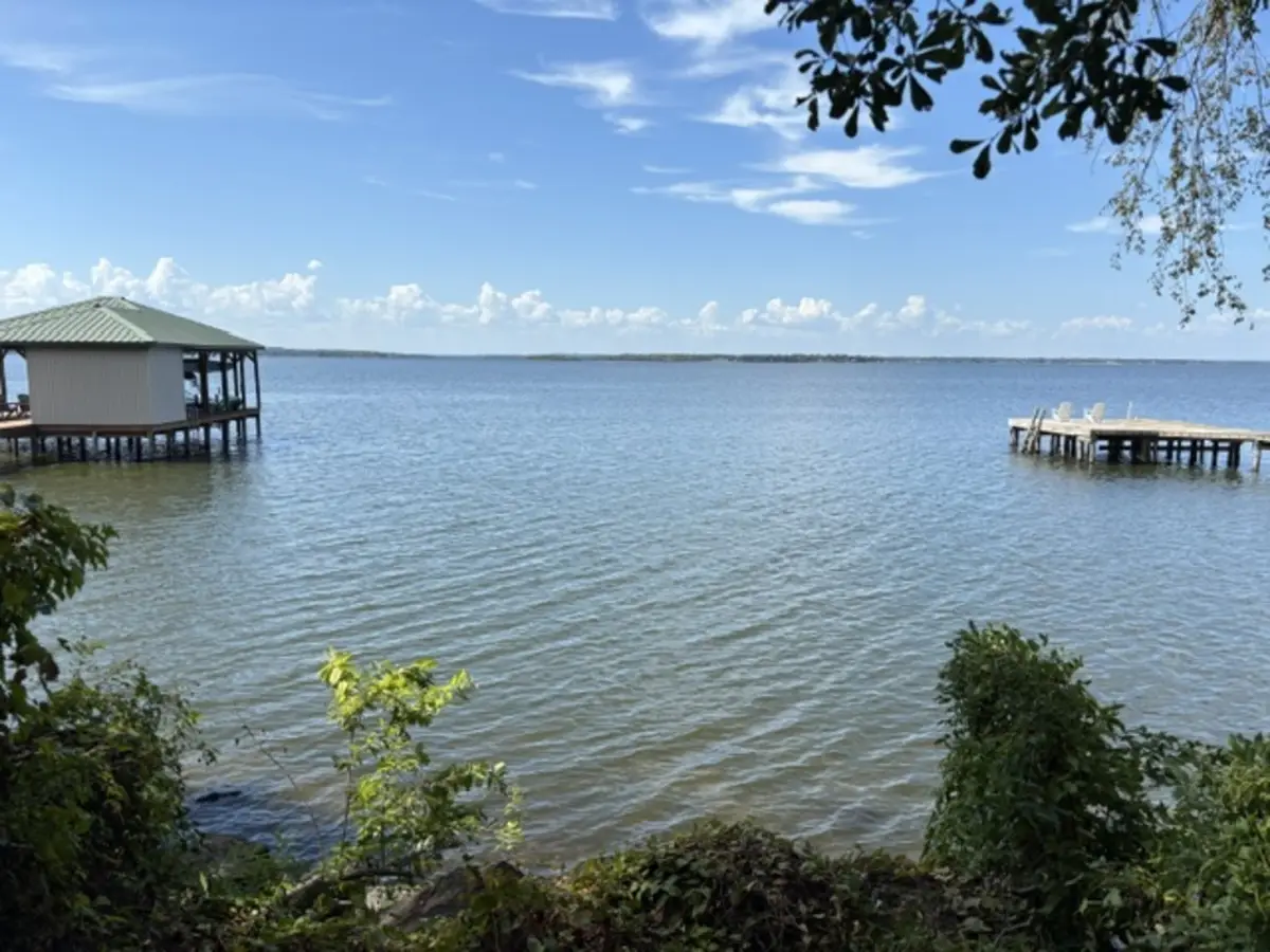 20878 Bay Shore Drive, Flint, TX 75762 - #1