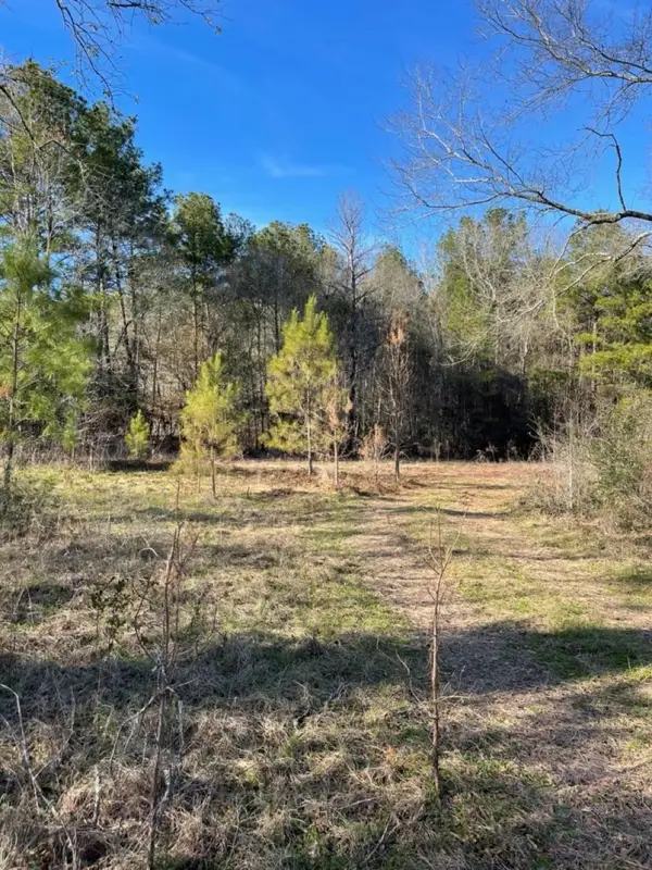 TBD Meekins Road, Cleveland, TX 77328