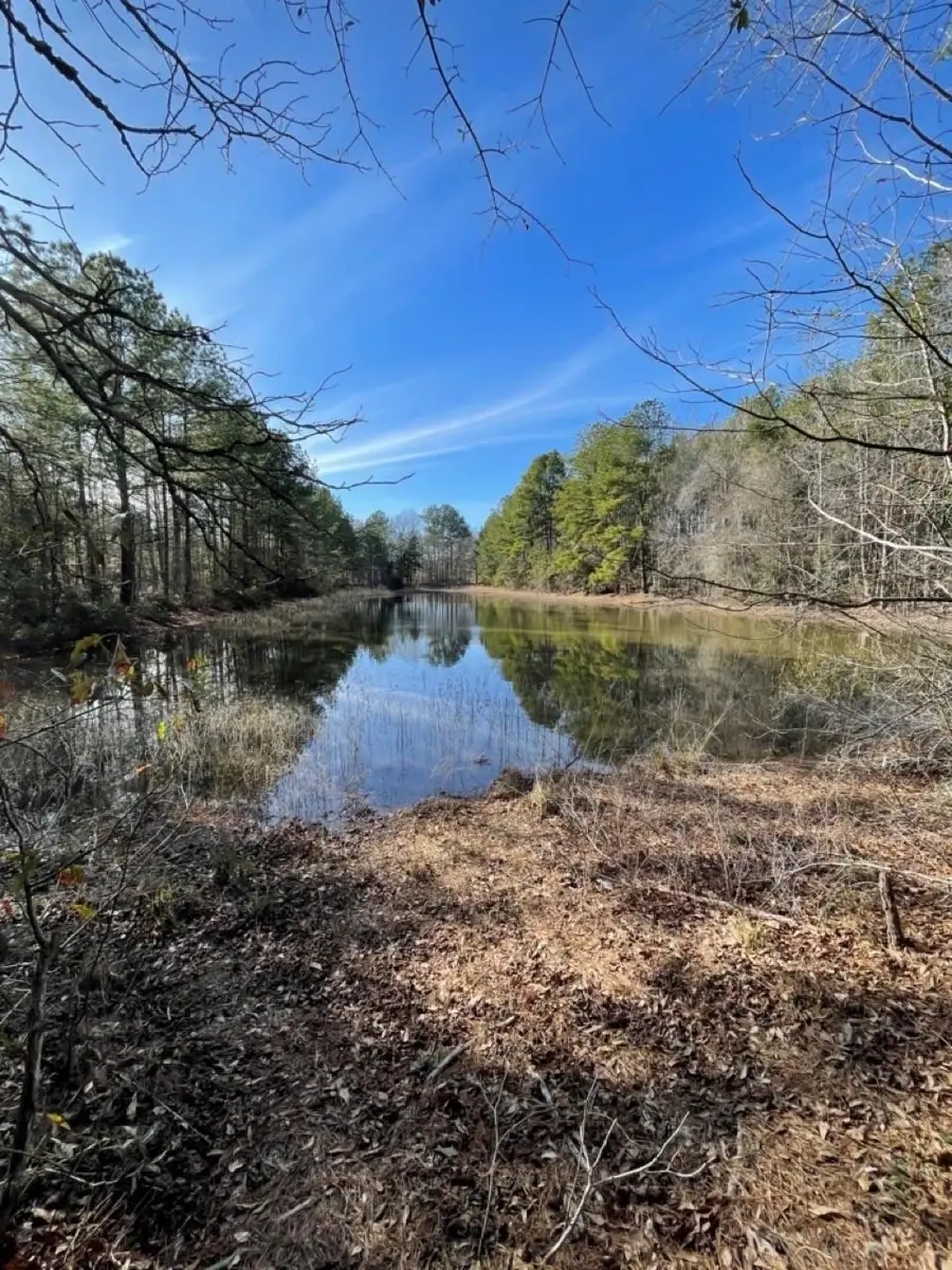 TBD Meekins Road, Cleveland, TX 77328 - #2