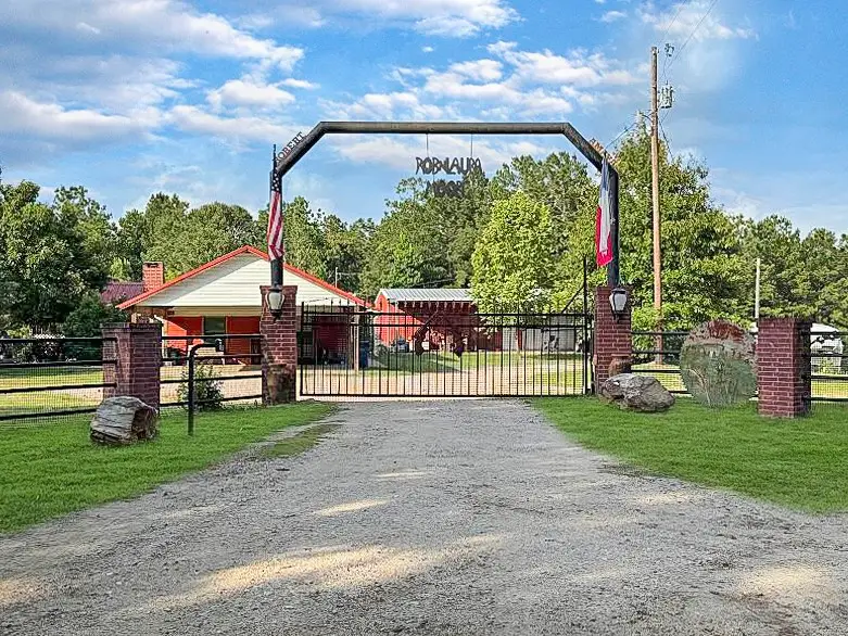 341 Red Wolf Lane, Brookeland, TX 75931 - #1