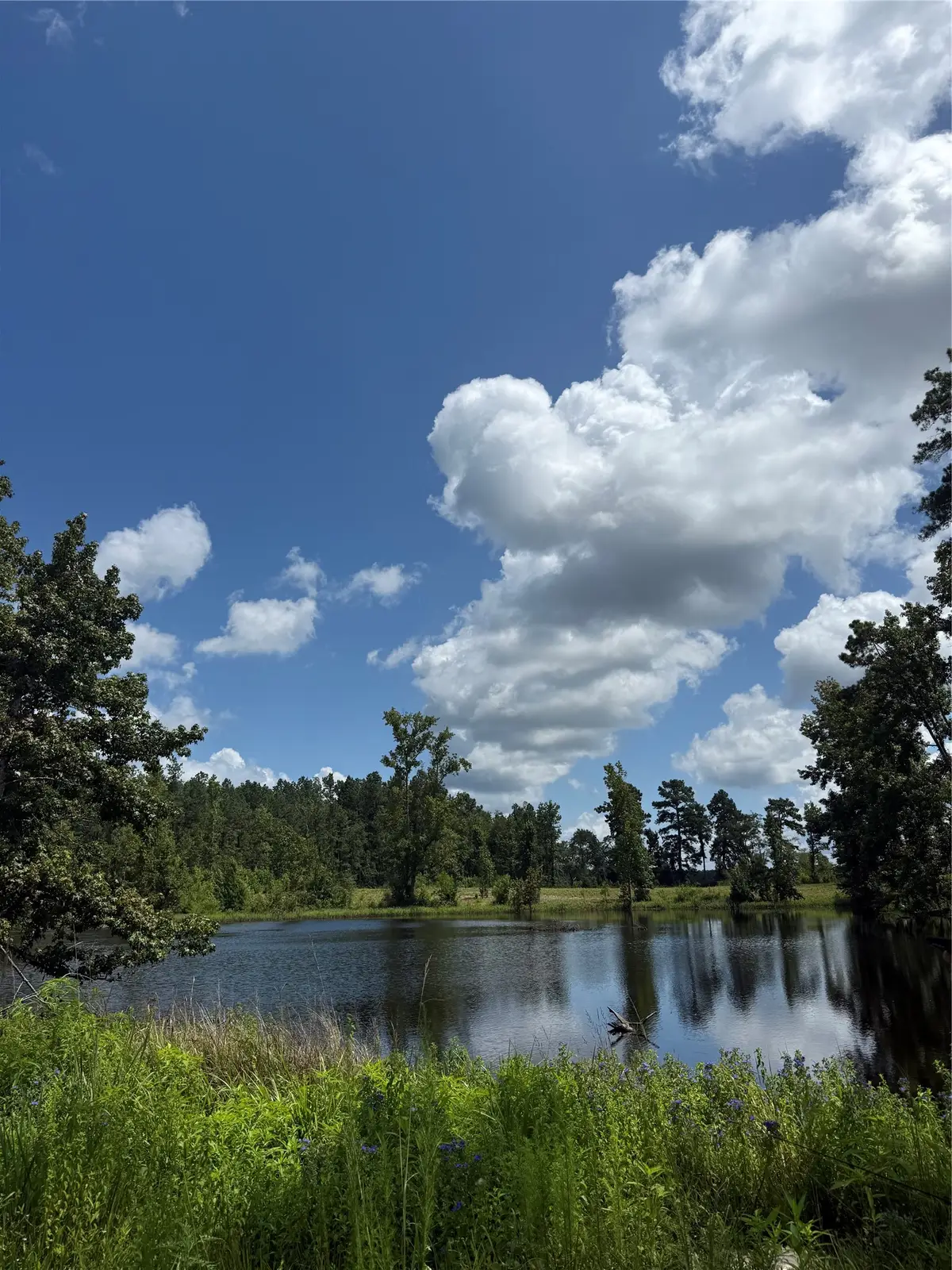 14055 Fm-357, Groveton, TX 75845 - #1