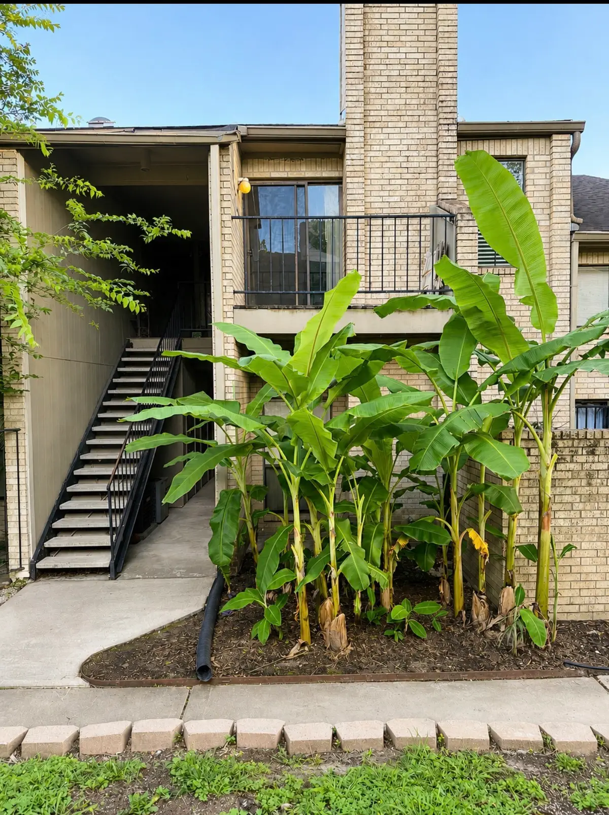 10811 Richmond Avenue #72, Houston, TX 77042 - #1