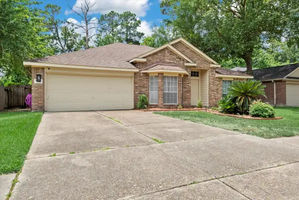 22711 Tree House Lane, Spring, TX 77373