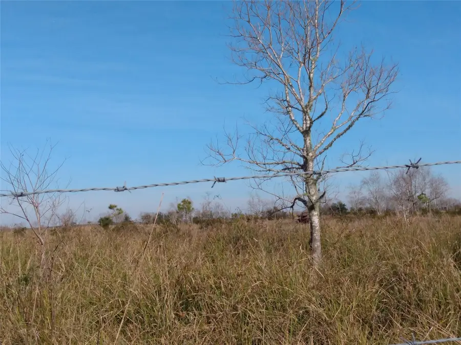 00 Belton Ln Extension, Anahuac, TX 77514 - Image #3