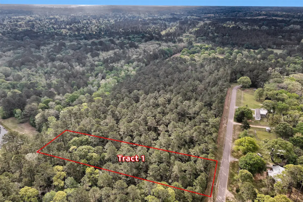 TBD- TR1 Cedar Lane Loop, Willis, TX 77378 - #1