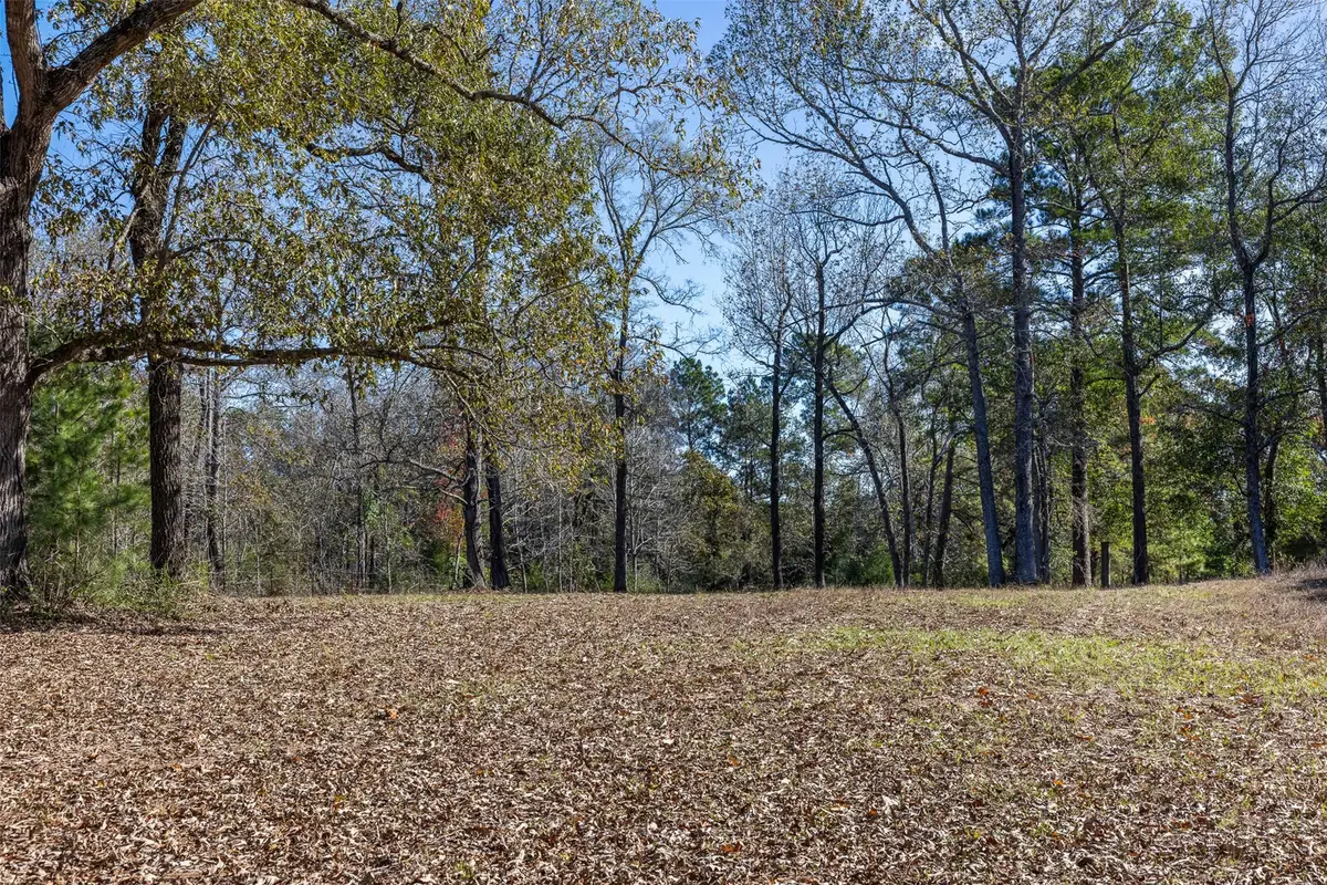 5901 Highline Drive, Montgomery, TX 77316 - Image #1