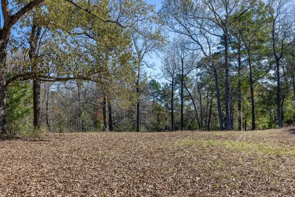 5901 Highline Drive, Montgomery, TX 77316