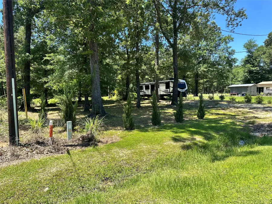 476 W Woodland Shores Drive, Point Blank, TX 77364 - #2