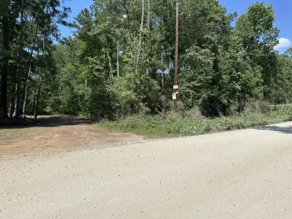 13035 Hollybrook Drive, Plantersville, TX 77363