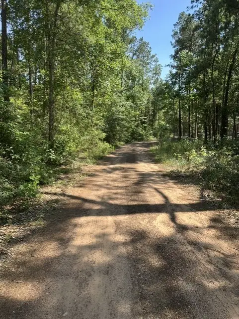 13035 Hollybrook Drive, Plantersville, TX 77363 - #3