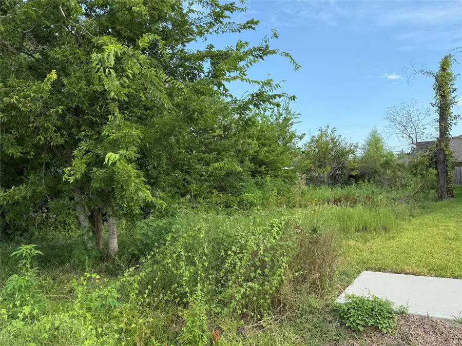 7949 Angus Street, Houston, TX 77028 - #3