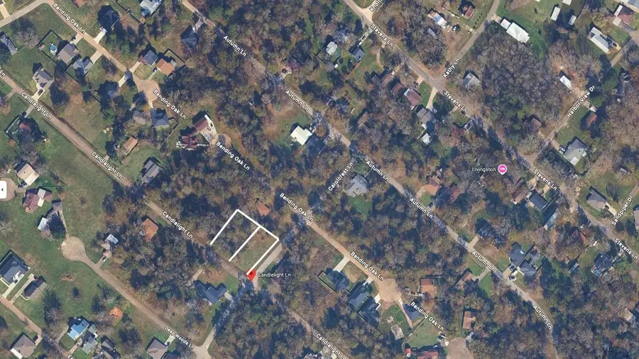 TBD Candlelight Lane, Livingston, TX 77351 - #2